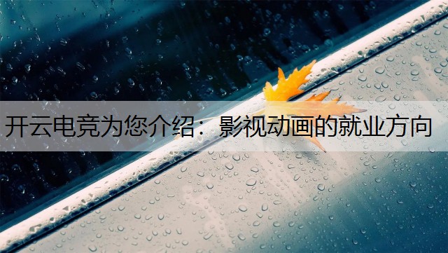 影视动画的就业方向